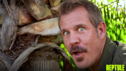 Claire Black, Pixie Smalls, Mira Luv - Into The Wild: Bush Hunter Catches The Floridian Bushy Teen 14 01 2026